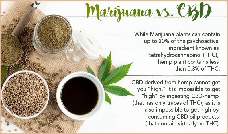 Marijuana vs CBD