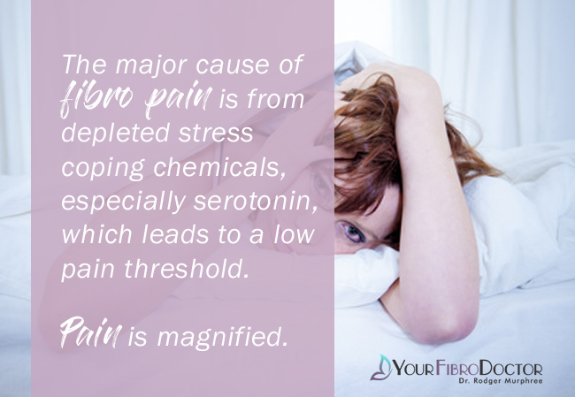 The major cause of fibro pain is from depleted stress coping chemicals, especially serotonin, which leads to a low pain threshold. Pain is magnified.